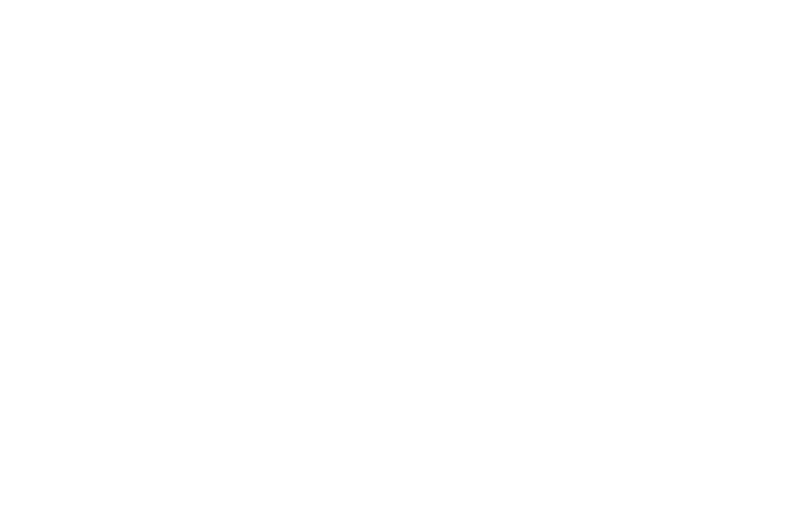 Logo Twierdza Boyen — biale na ciemnym tle